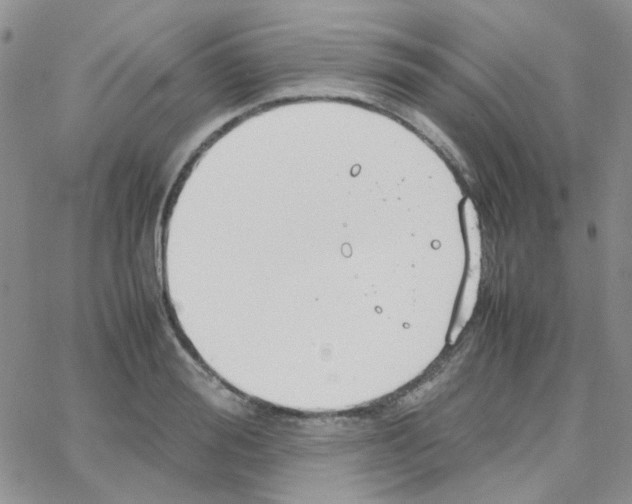 X0000064750988200603131339