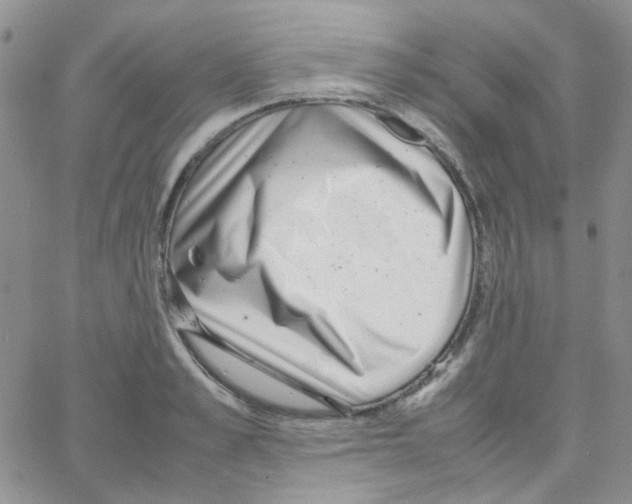 X0000064750989200603131339