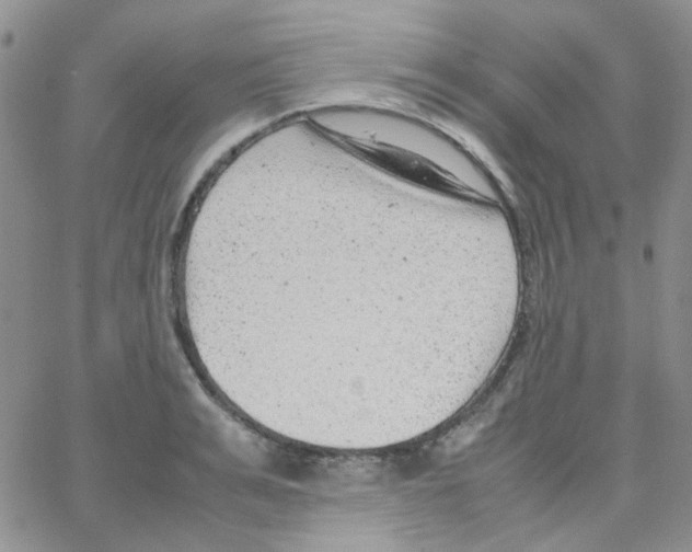 X0000064750991200603131339