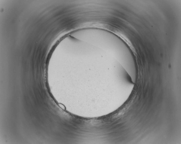 X0000064750992200603131339