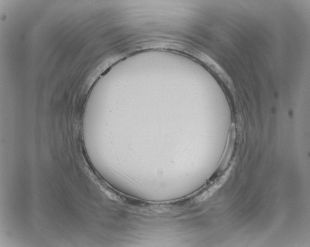 X0000064750993200603131339