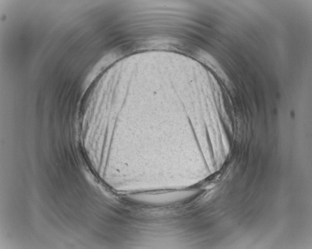 X0000064750994200603131339