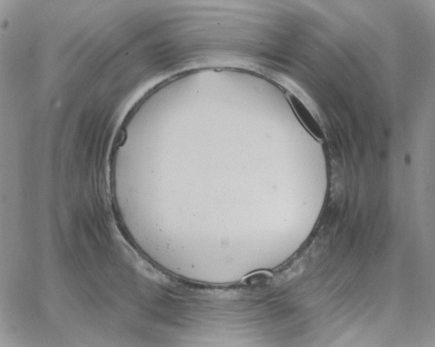 X0000064750996200603131339