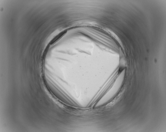 X0000064750997200603131339