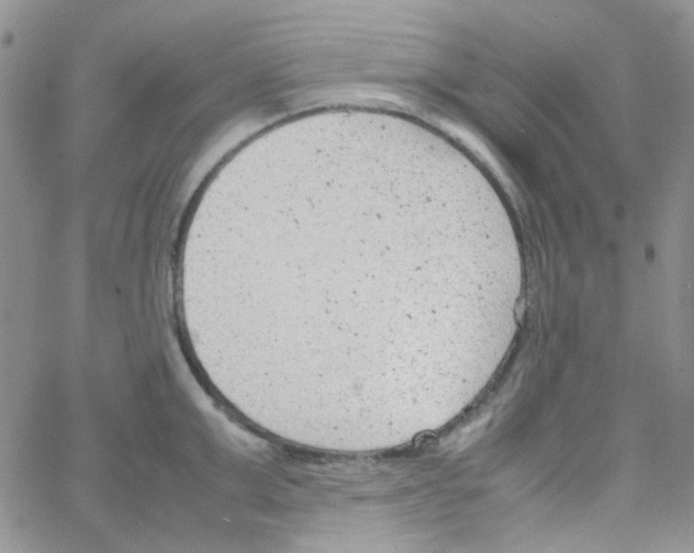 X0000064750999200603131339