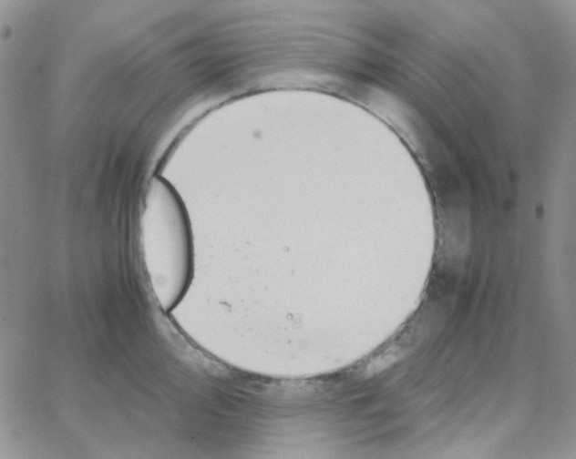 X0000064751000200603131339