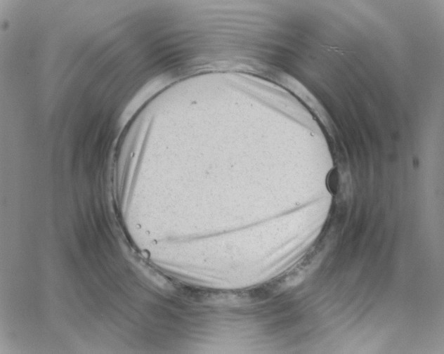 X0000064751002200603131339