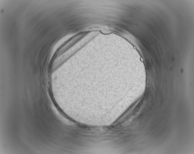 X0000064751003200603131339