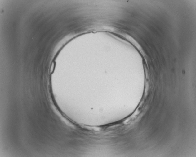 X0000064751005200603131339