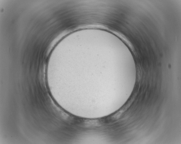 X0000064751006200603131339