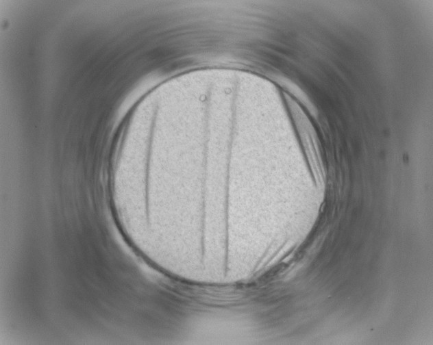 X0000064751007200603131339