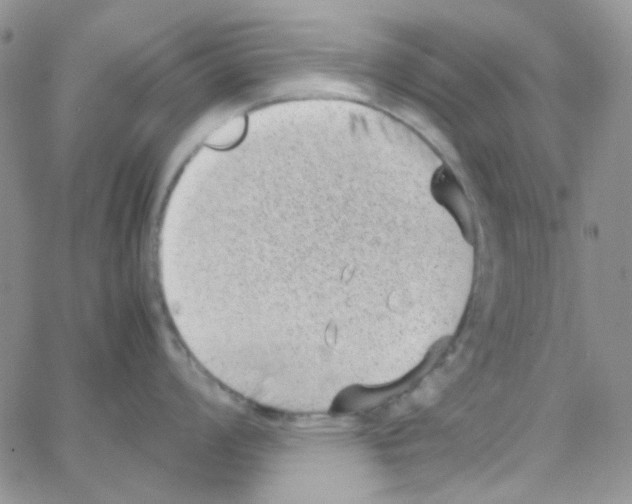 X0000064751008200603131339