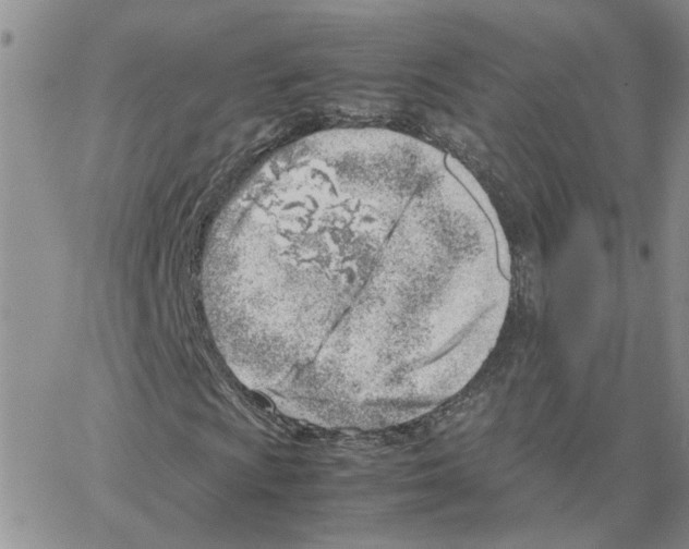 X0000064751009200603131338