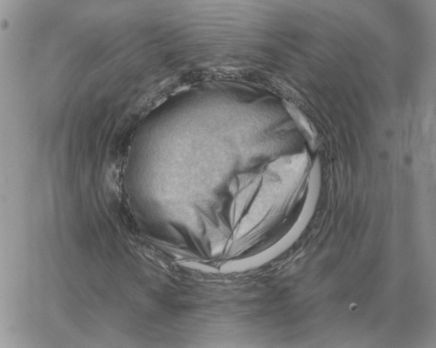 X0000064751010200603131338