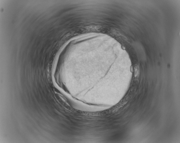 X0000064751011200603131338