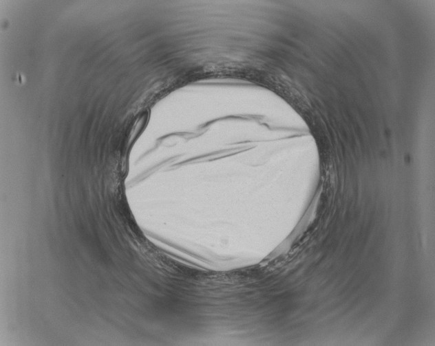 X0000064751012200603131338