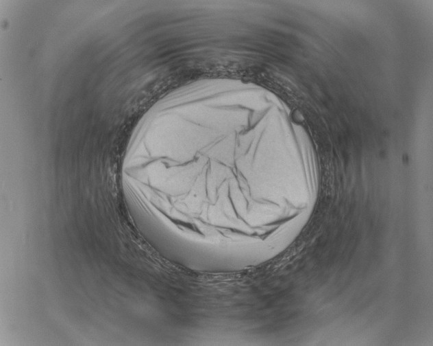 X0000064751013200603131338