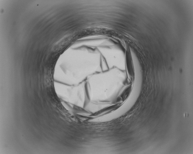 X0000064751014200603131338