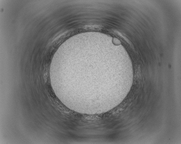 X0000064751015200603131338