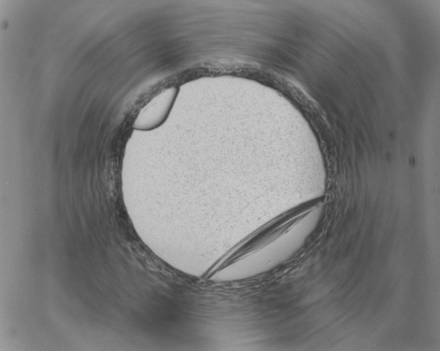 X0000064751016200603131338