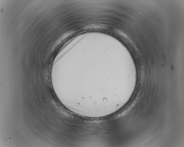 X0000064751017200603131338