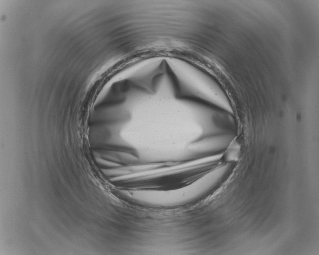 X0000064751018200603131338