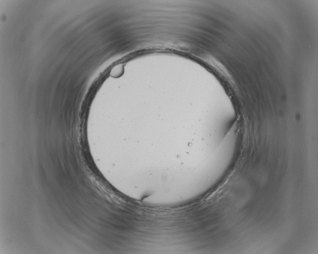 X0000064751020200603131338