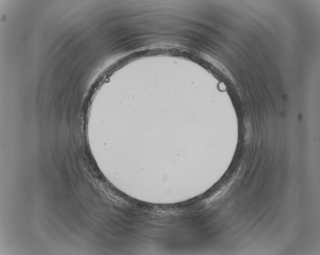 X0000064751021200603131338