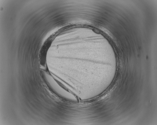 X0000064751022200603131338