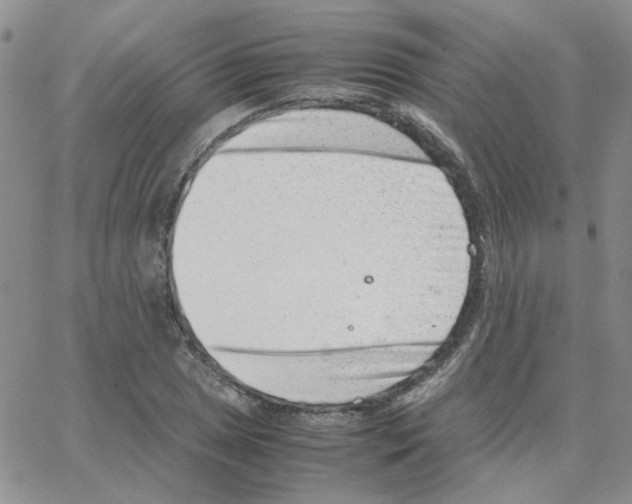 X0000064751025200603131338