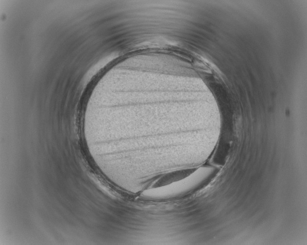 X0000064751026200603131338