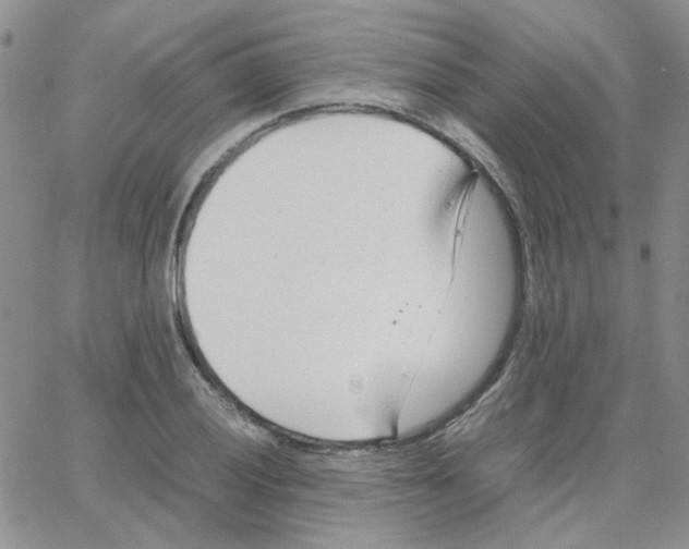 X0000064751028200603131338