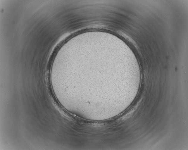 X0000064751029200603131338