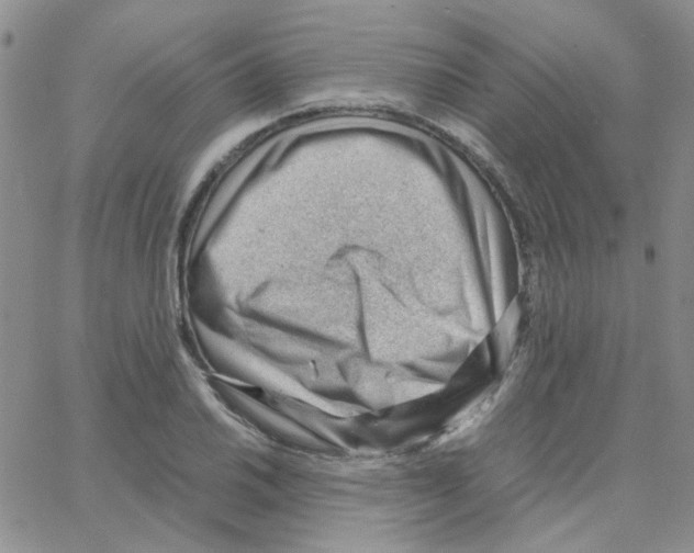 X0000064751030200603131338