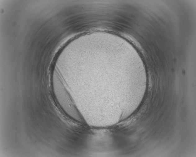 X0000064751031200603131338