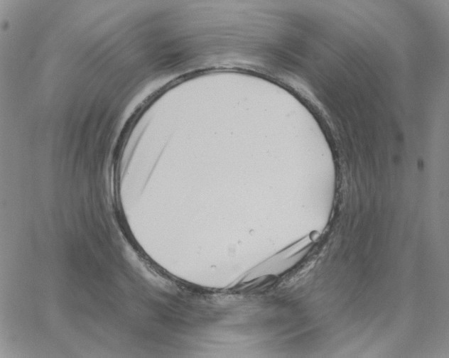 X0000064751032200603131338