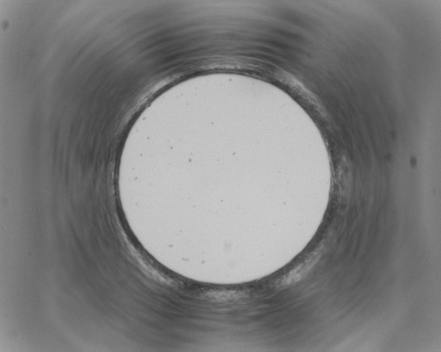 X0000064751033200603131338