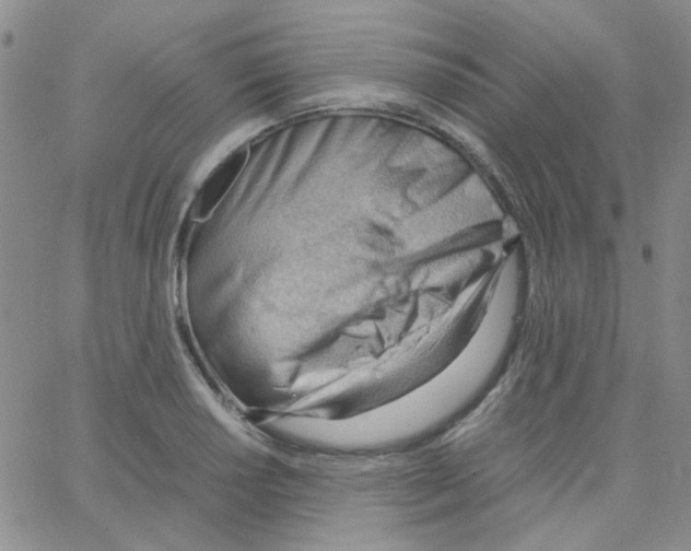 X0000064751034200603131338