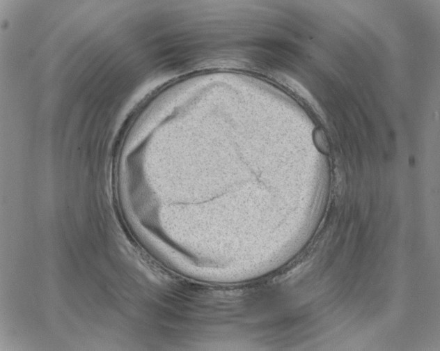 X0000064751035200603131338