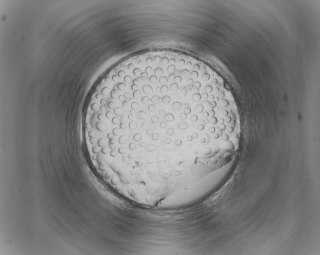 X0000064751036200603131338