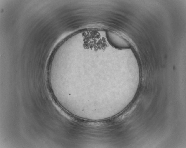 X0000064751037200603131338