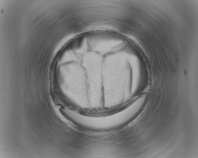 X0000064751038200603131338