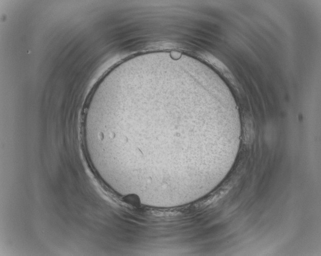 X0000064751039200603131338