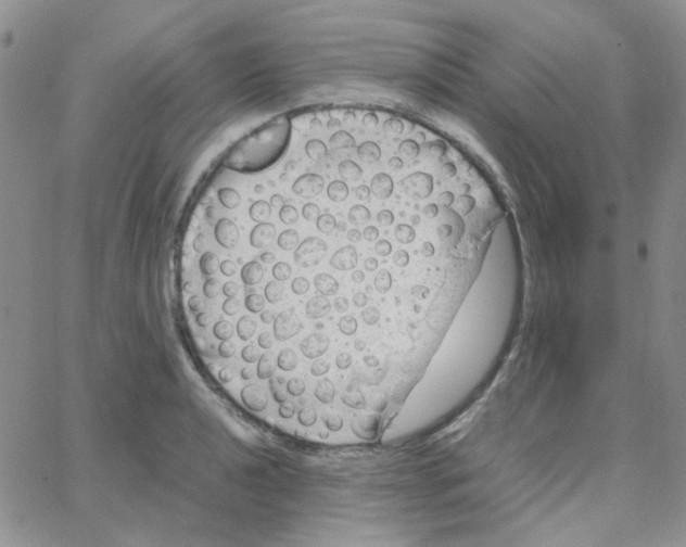 X0000064751040200603131338