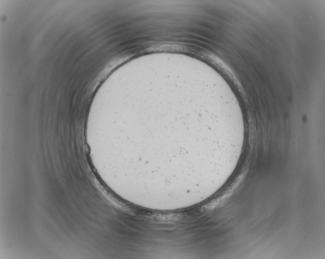 X0000064751041200603131338