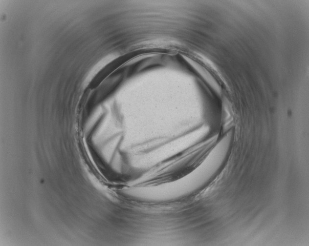 X0000064751042200603131338