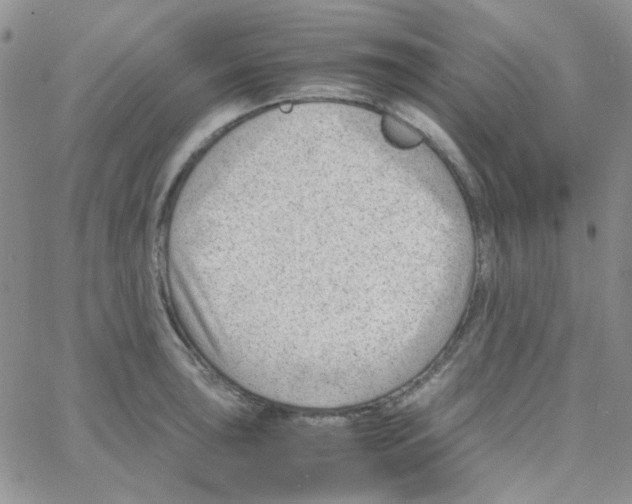 X0000064751043200603131338