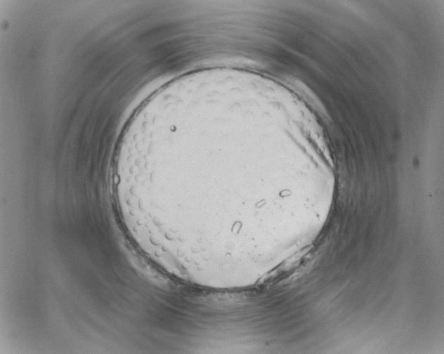 X0000064751044200603131338