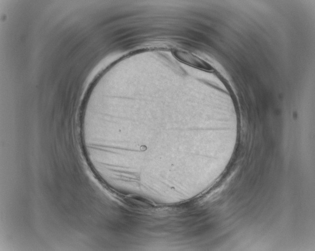 X0000064751045200603131338