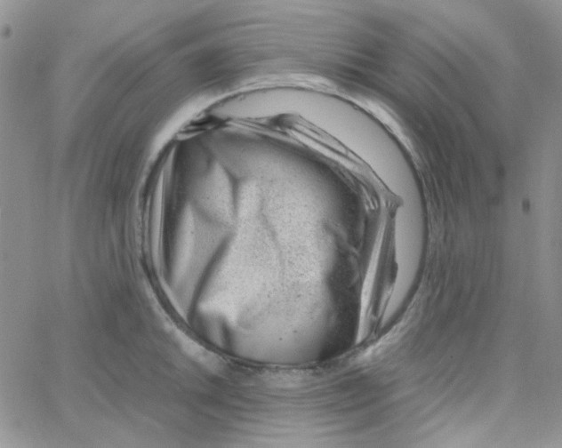 X0000064751046200603131338